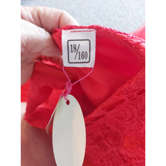 Girls size 18/160 Formal Christmas Dress,nwt - Picture 10 of 10